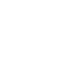 Class Damage-dealer Icon